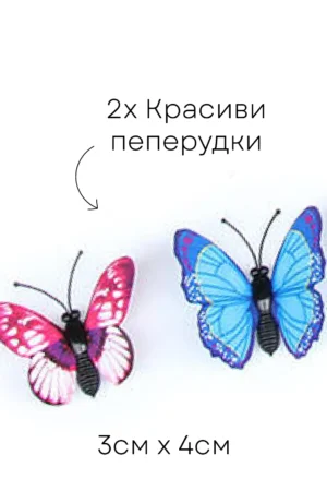 website—product—photo-41