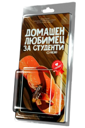 Домашен любимец за студенти