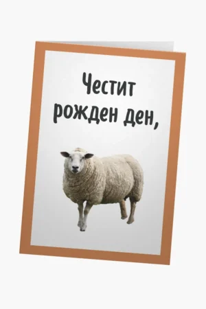 ЧРД, овца
